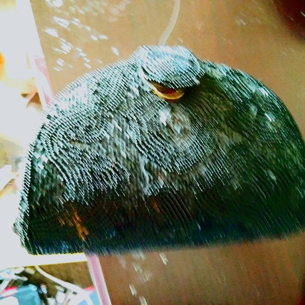 1934 black glass beaded purse with strap